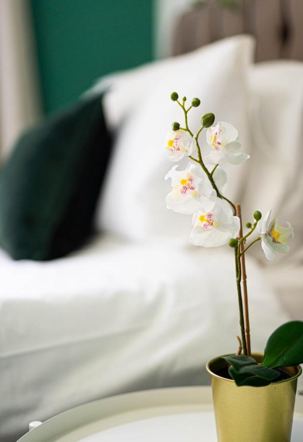 Comfortable House In Nuneaton Sleeps5 Free Parking Good Amenites Extérieur photo